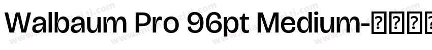 Walbaum Pro 96pt Medium字体转换